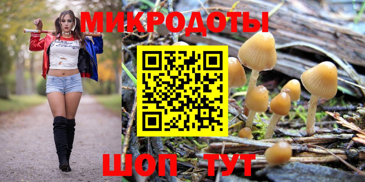 Галлюциногенные грибы GOLDEN TEACHER  Вход с VPN  Галлюциногенные грибы Cubensis  даркнет сайт  Янаул 